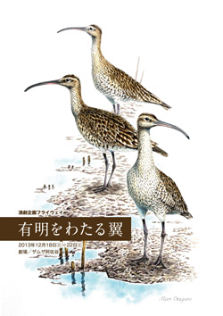 �V�쉹�y���u�L�����킽�闃�v�`���V�\